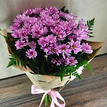 Букет цветов из:  Хризантемы #REPLACE_PRED# Климово